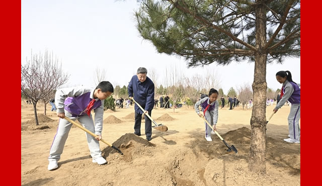 ���͹����쵼�˲μ��׶�����ֲ���